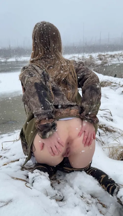 The Canadian beaver. Unbothered by worsening conditions, she continues her hunt for hard wood.