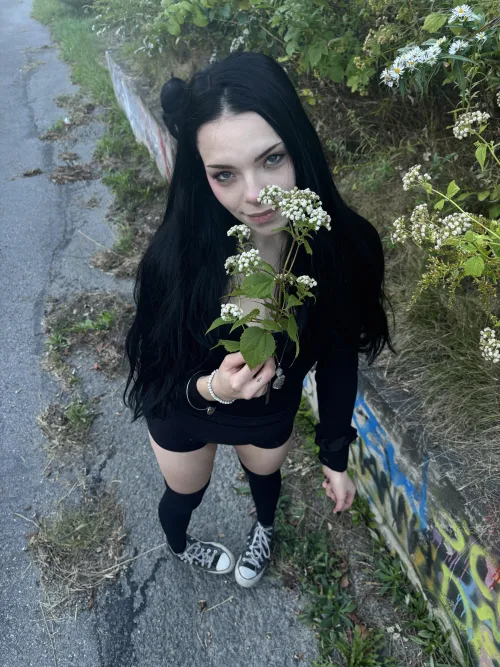 Baby’s breath core