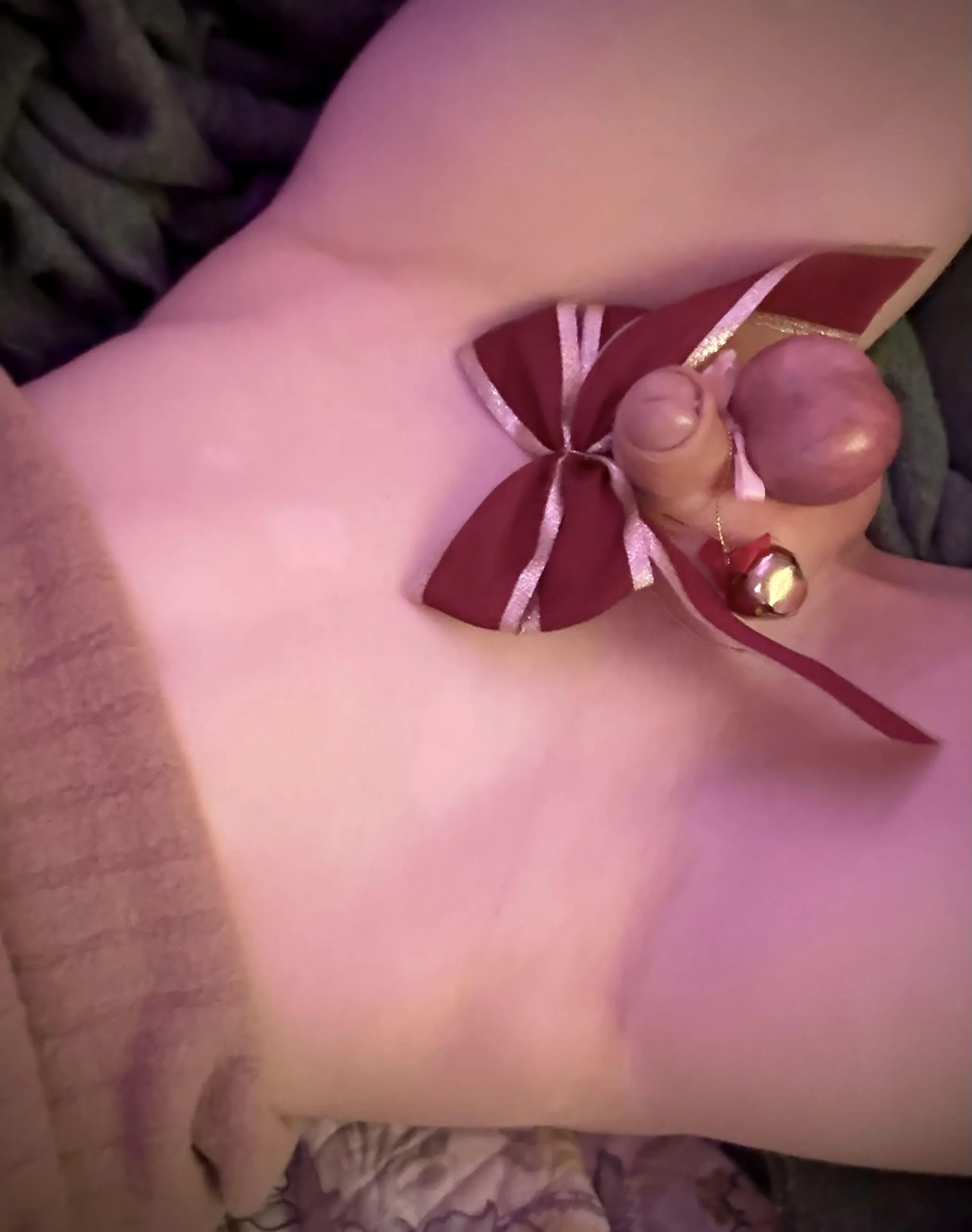 christmas themed banding and my tiny clitty :3 🎄