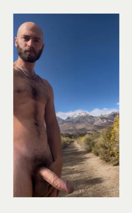Mountain tops and cock