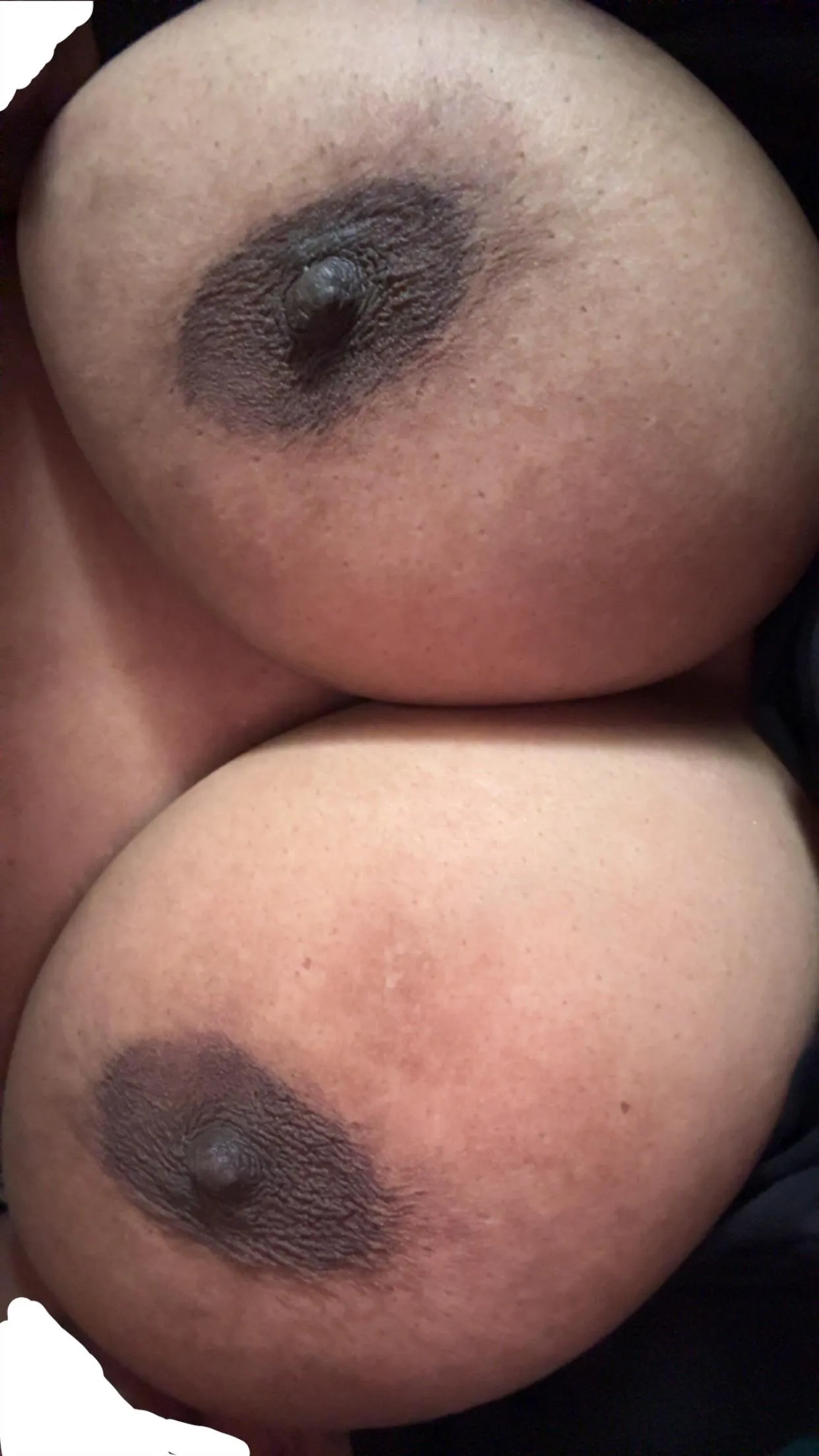 Perky Nipples Sunday, How’s it going people!? (f)