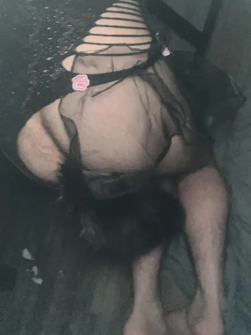 25 pup ready for fun