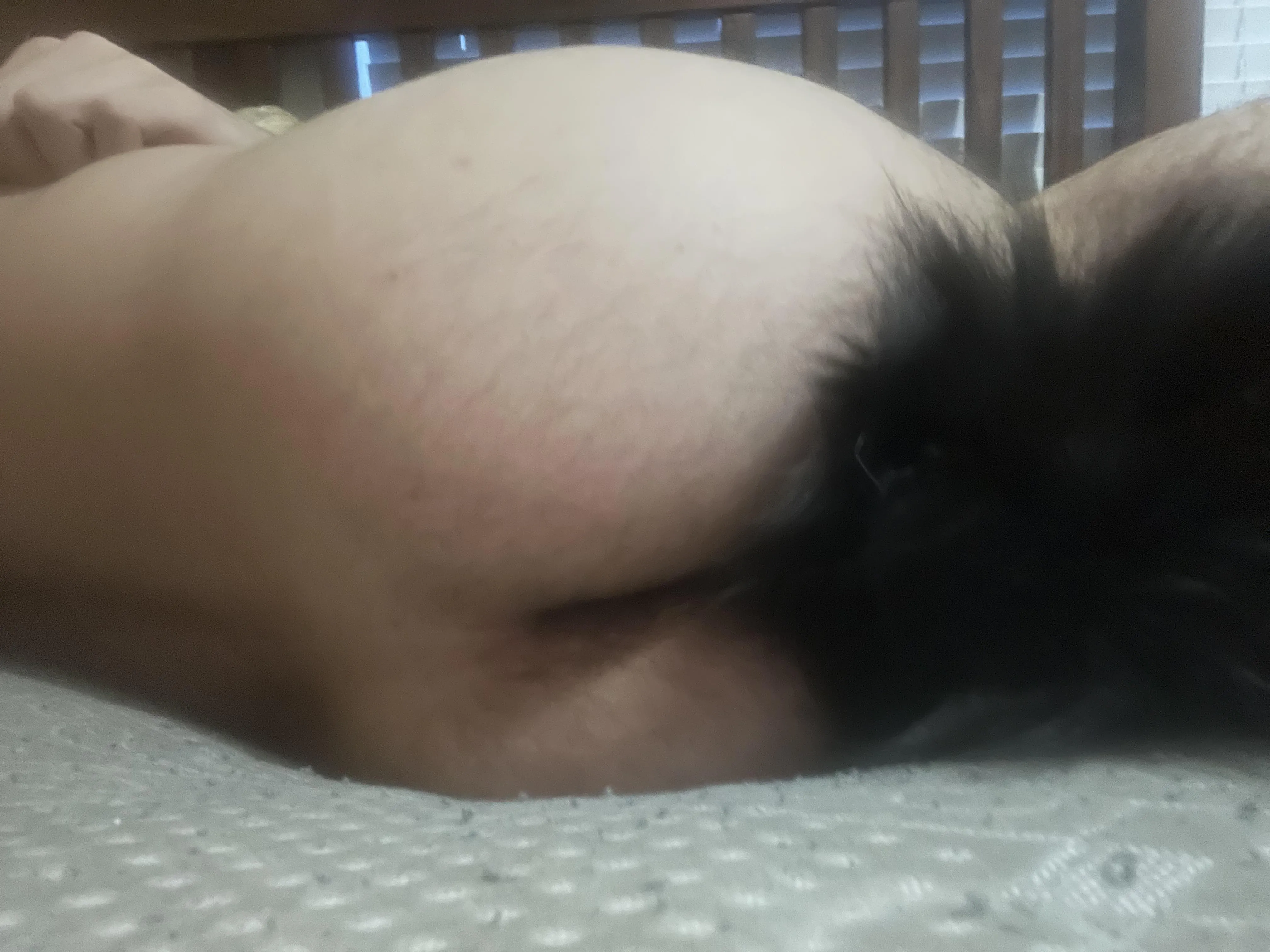 25 pup ready for fun