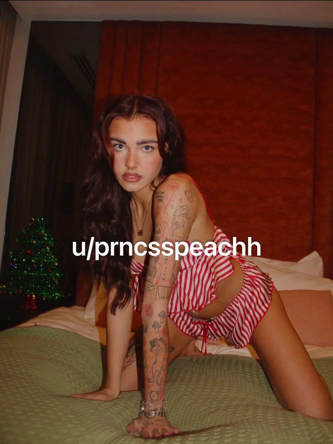 Merry Christmas you naughty bunch🤪🎄