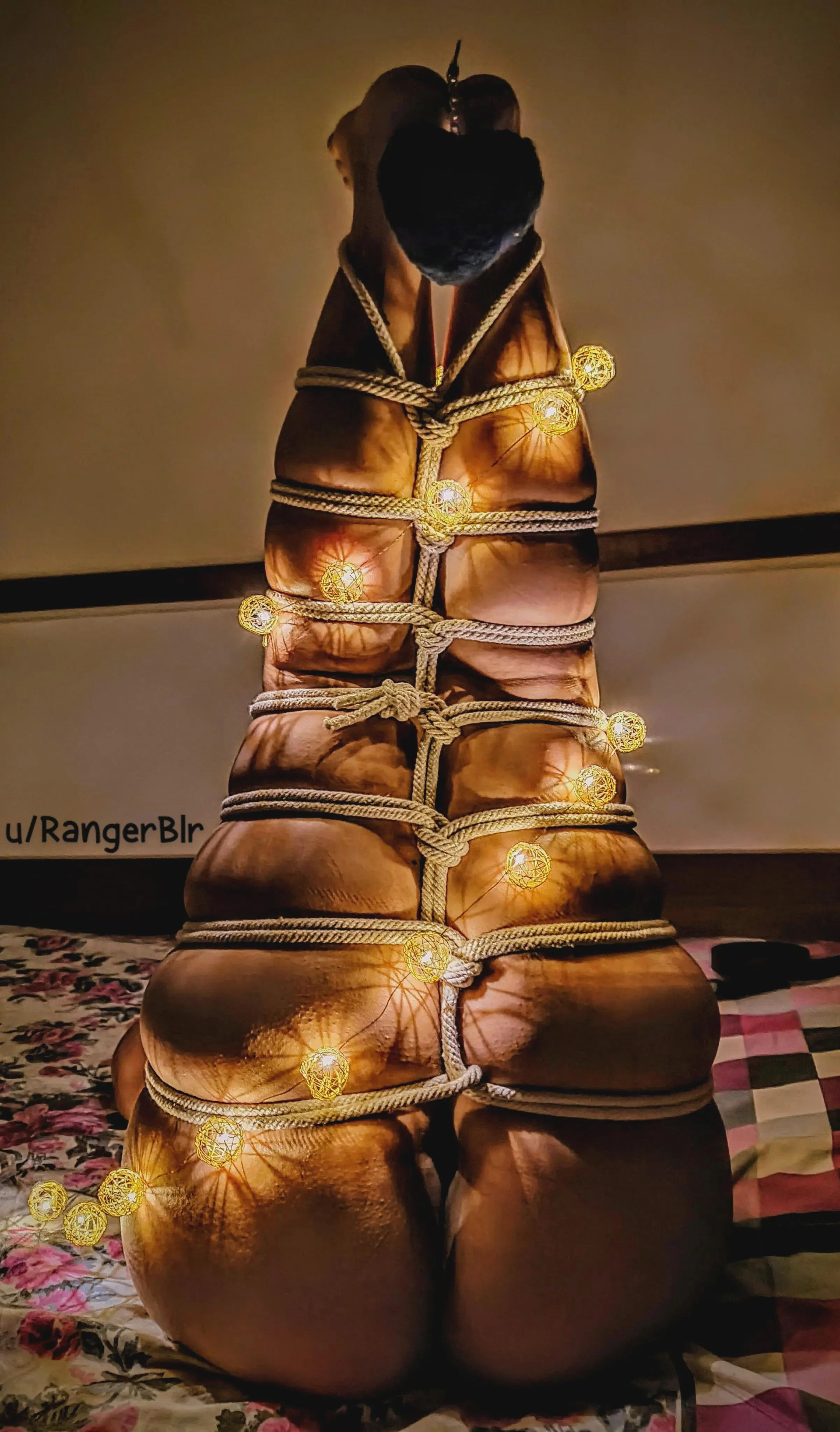 Evaraina interested in being a rope-bunny?[C] [OC]