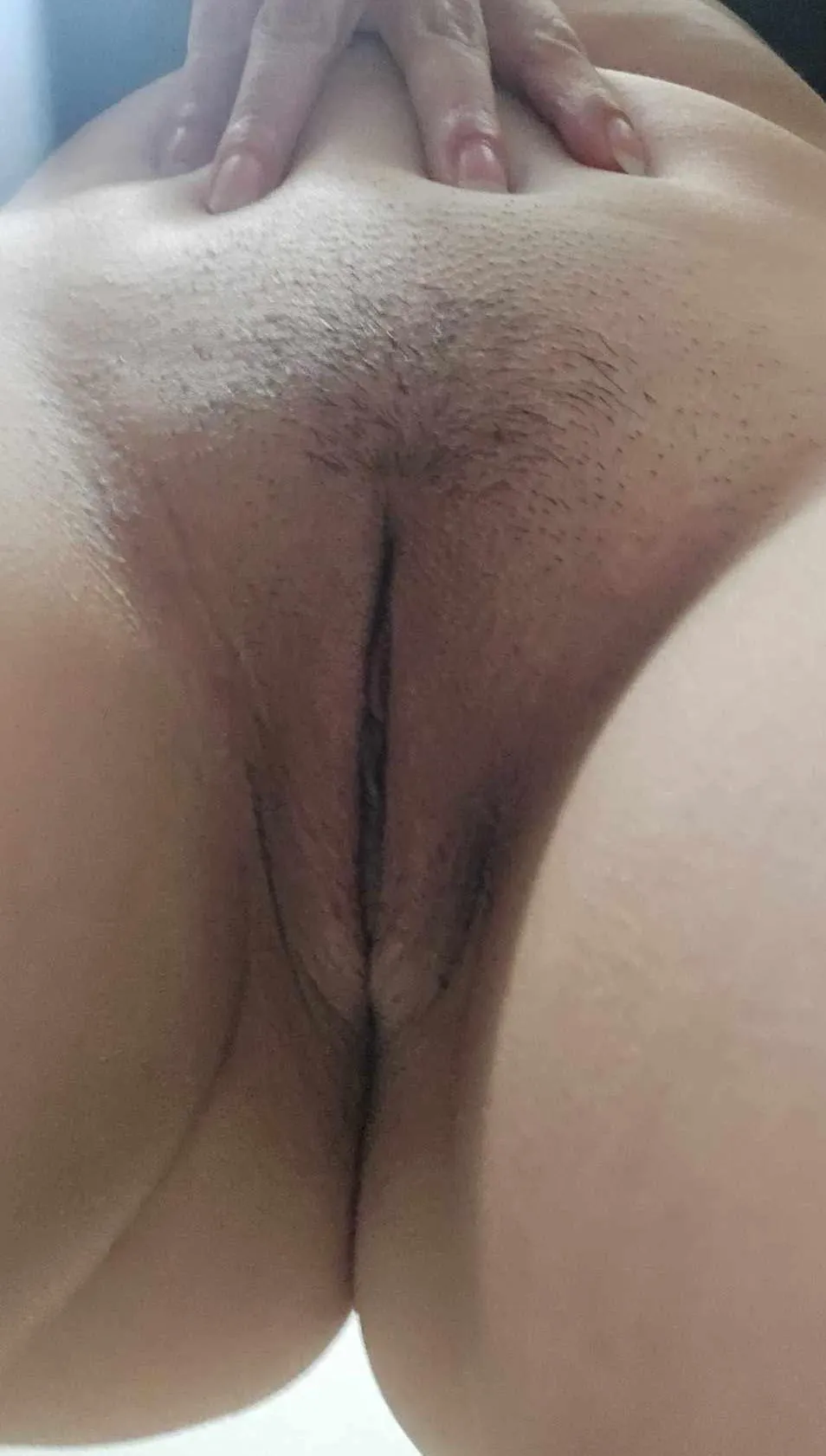 McAllen Area Hosting!! 7-8