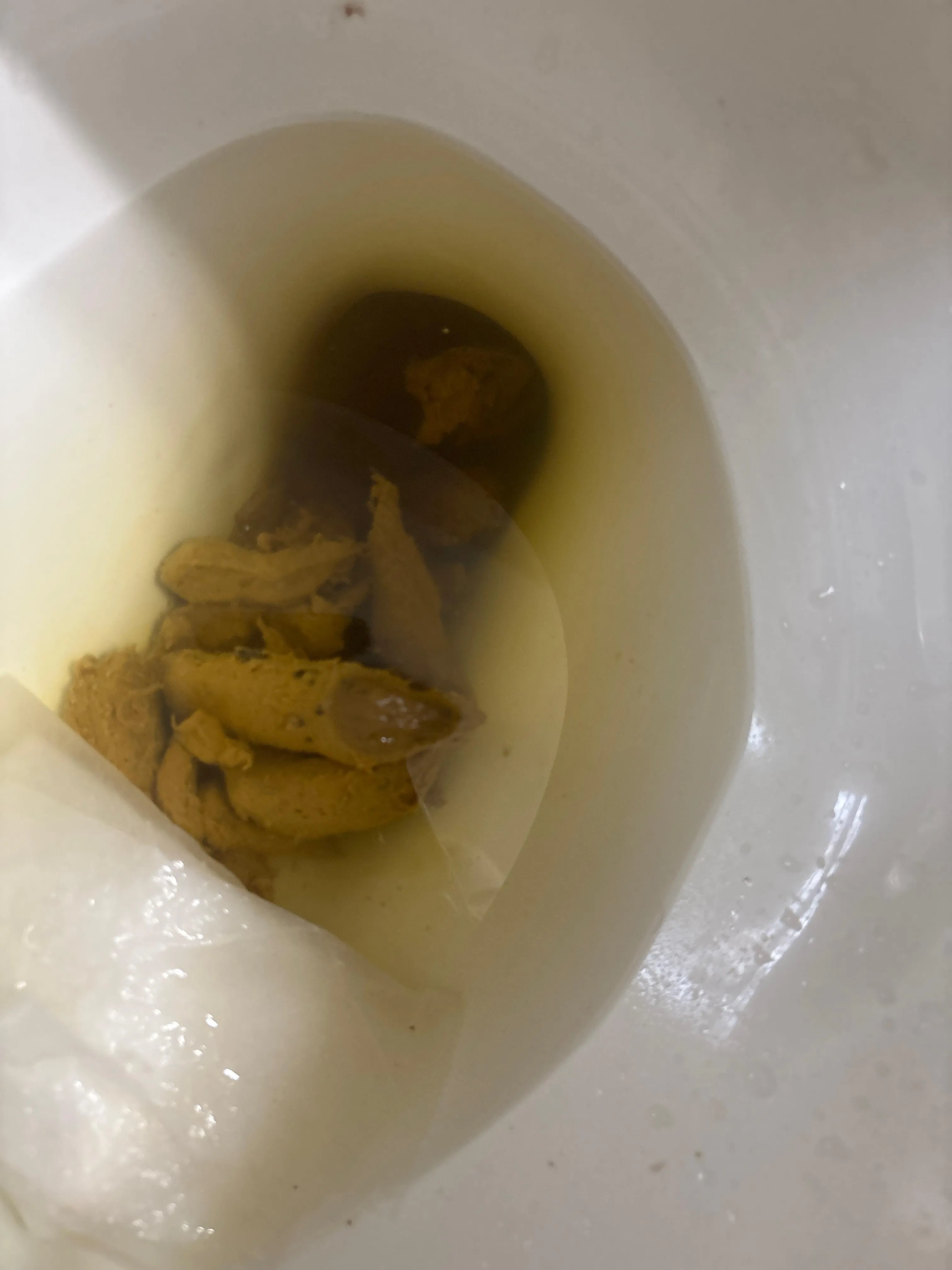 Plz lemme poop on you🥺💩