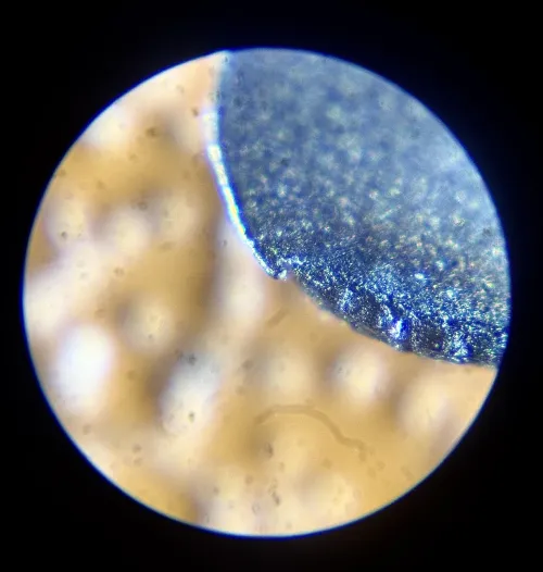 Safety Warning: Perf. Cap