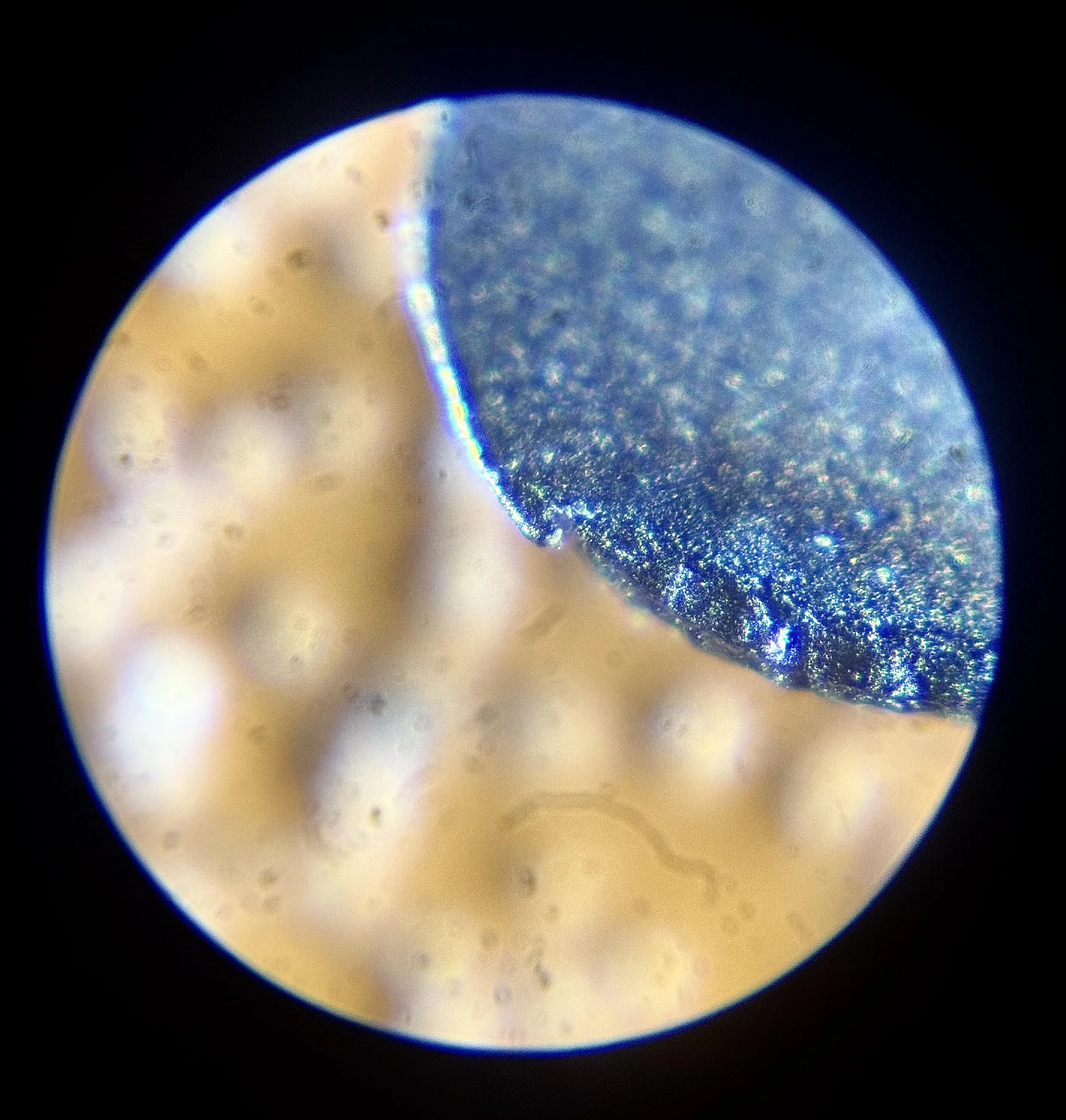 Safety Warning: Perf. Cap