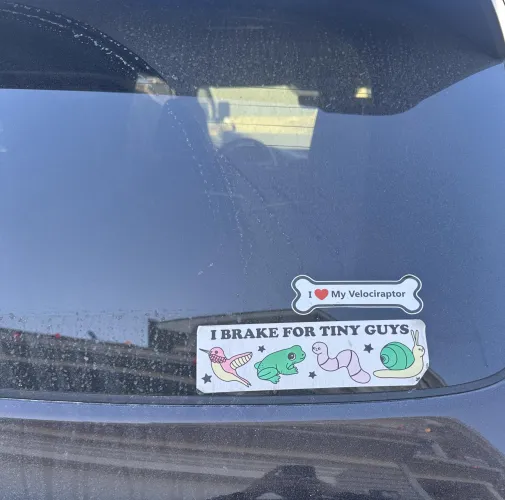 So technically not a text but it’s a message to the world