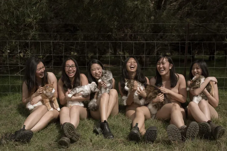 University of Sydney - Free Vets Range (2017)