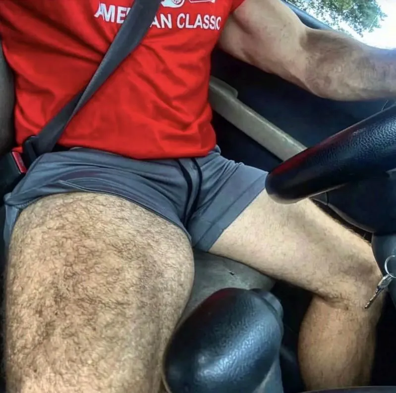 Who wants to go for a ride ?