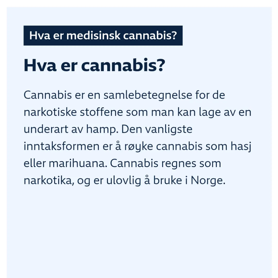 cannabis, en underart av hamp?