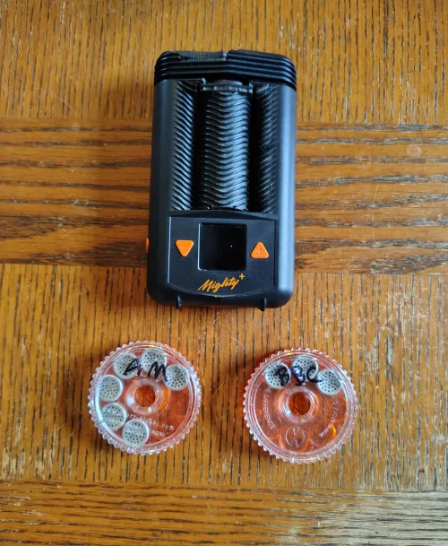 Heading out for Thanksgiving dinner