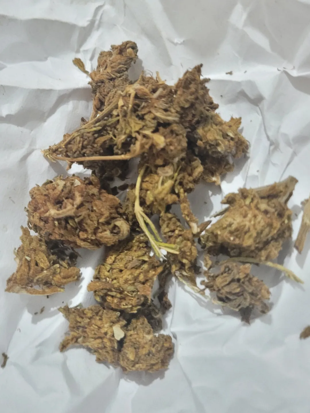 Me passaram como moby dick 25 a G, sei que nome é só p chamar atenção. Acham que valeu a pena?