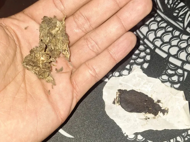 preparado pro ano novo de verde