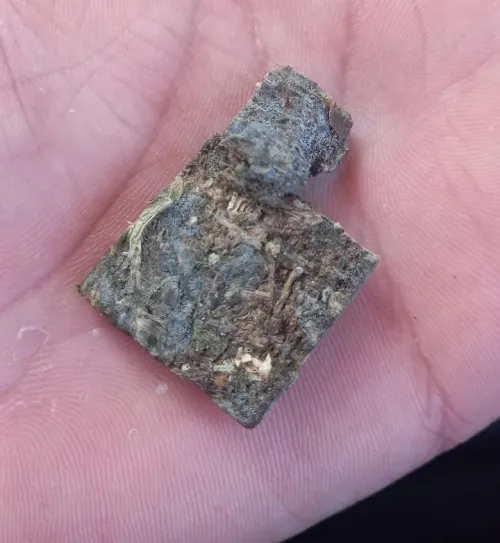 [RELATO SÉRIO] Nunca fume maconha mofada. Eu fiz isso e minha vida nunca mais foi a mesma. (Imagem ilustrativa)