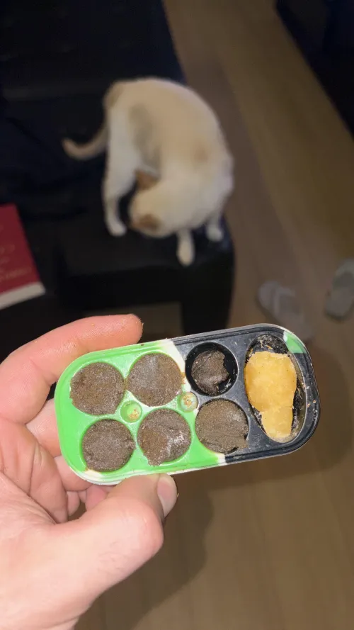 Valeu 2025 🙏🏻🤍