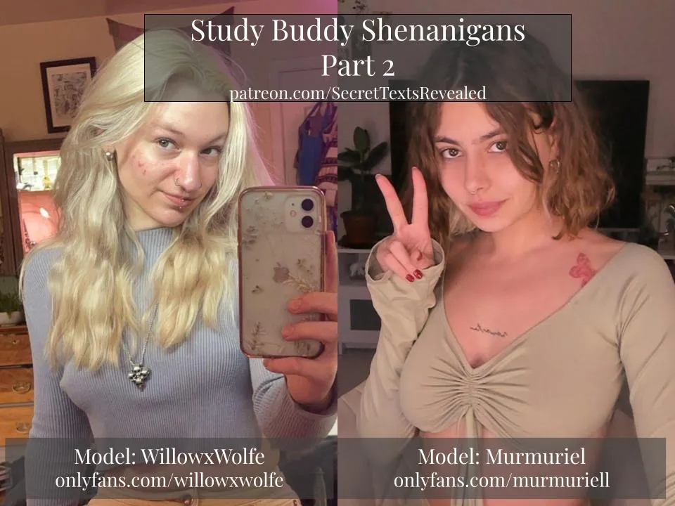 Study Buddy Shenanigans Part 2