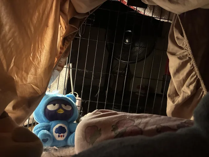 puppy has been crate trained for soooo longg!! >///<