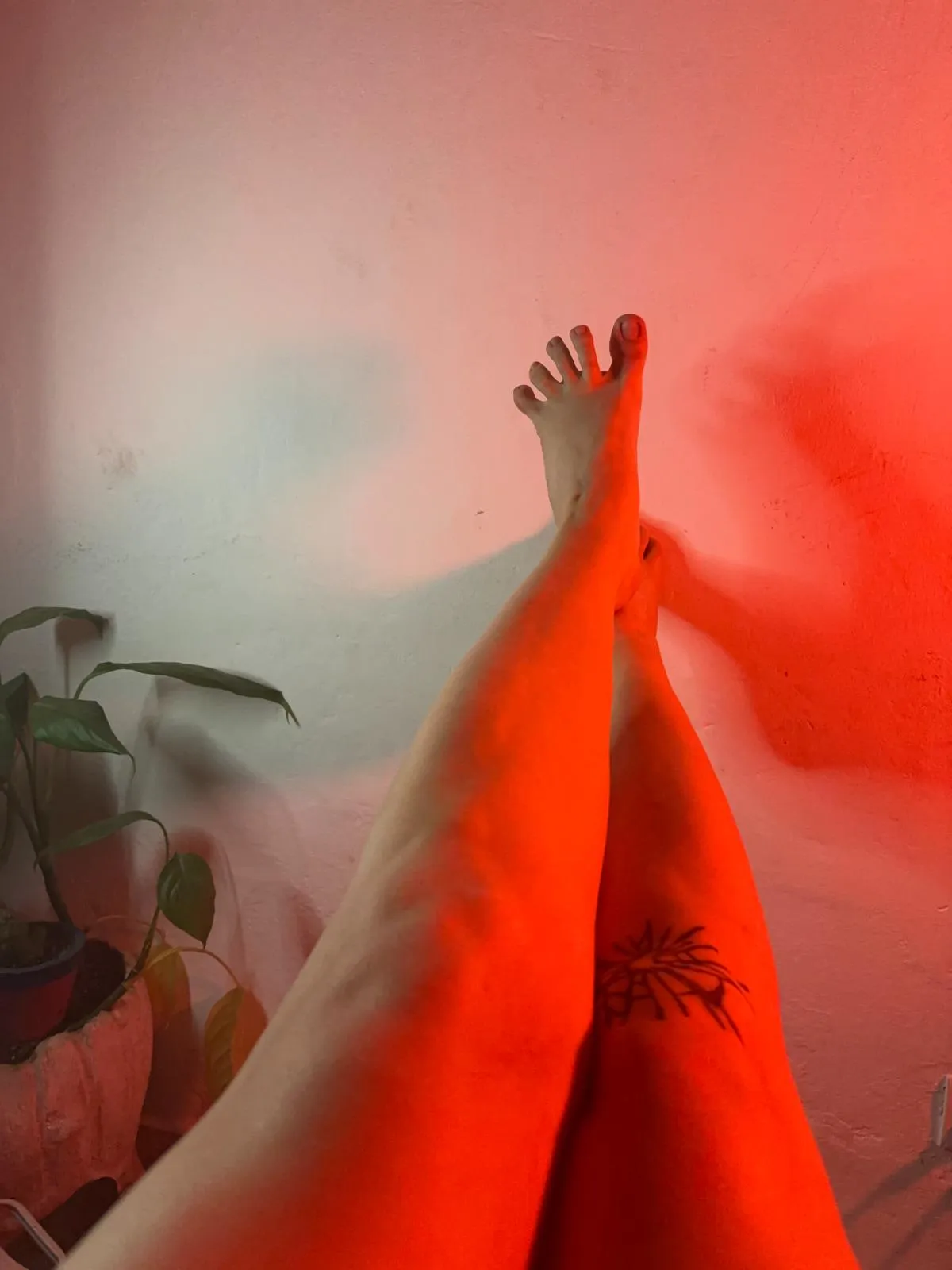 Think you can put these 38 size feet inside your mouth?