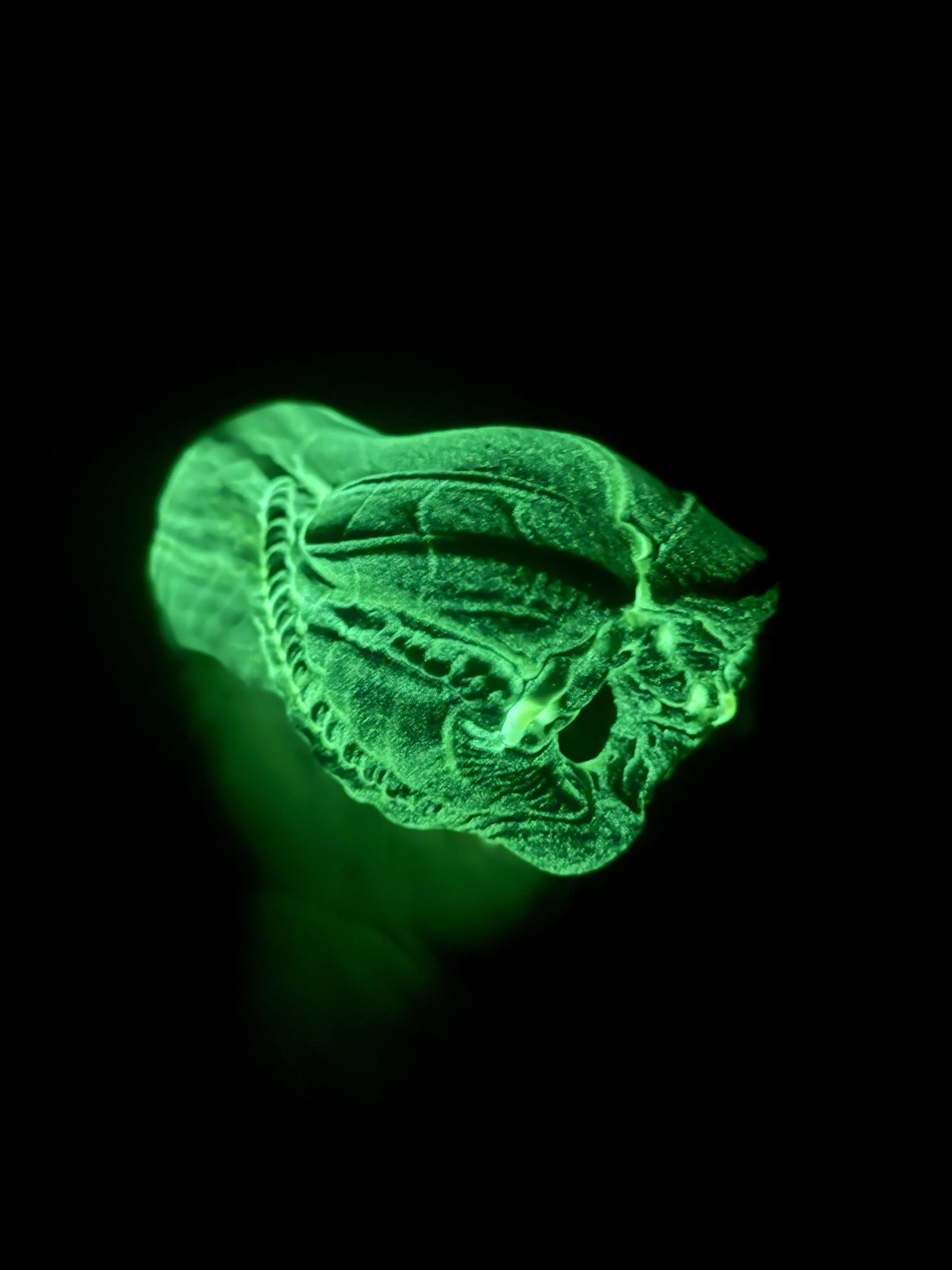 Finally put my Ellen under s UV light and holy shit is she beautiful.