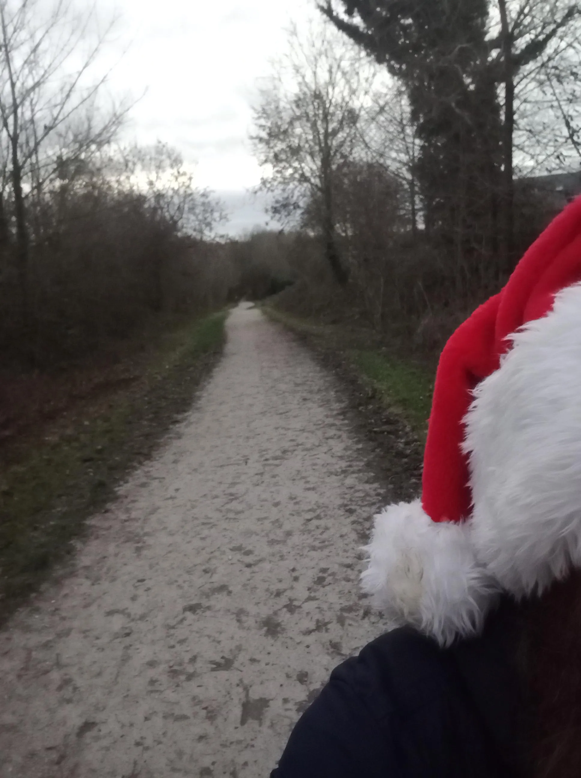 Should I risk the strip tonight?? My favorite route when I want to shed some clothes but it's unusually busy this evening