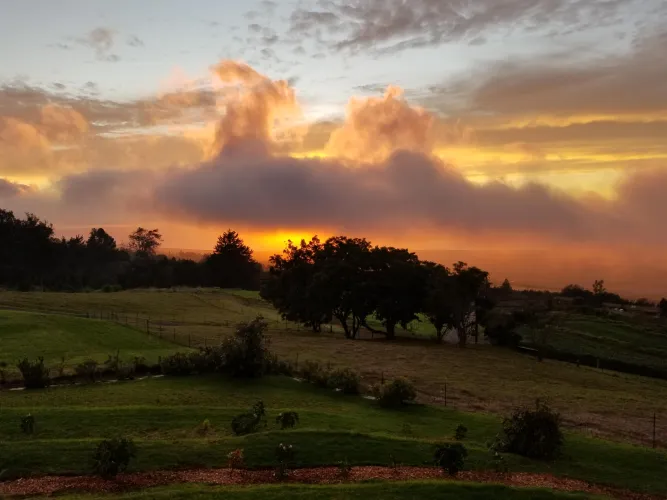 45 [M4F] Helena - Fit, Humorous, Attentive, and Missing that Physical and Passionate Connection