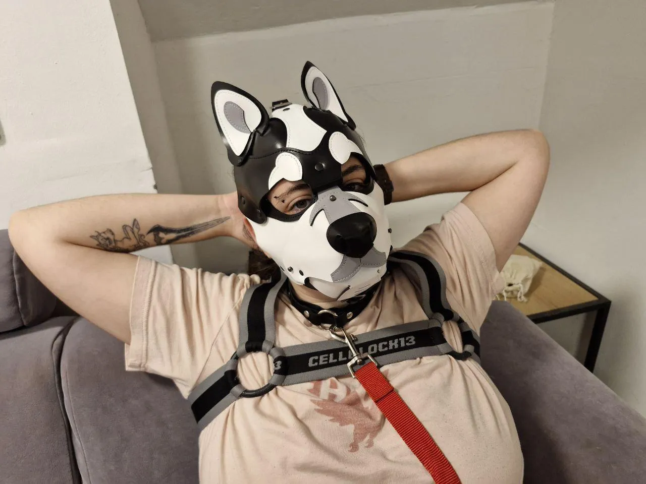 Good morning puppies~