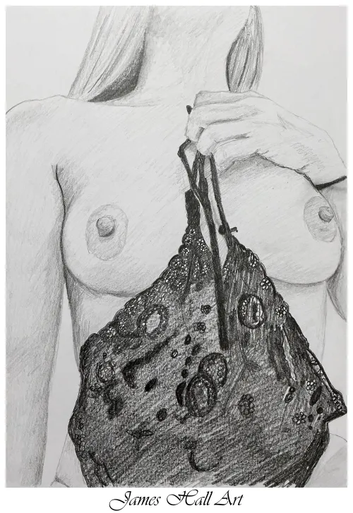 Holding on to the lingerie, by JamesHallArt (me), A4 Graphite