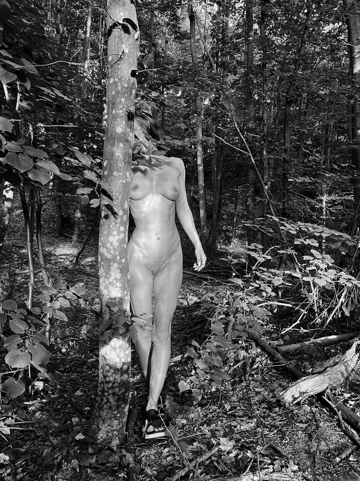 No big bad wolf here (OC)