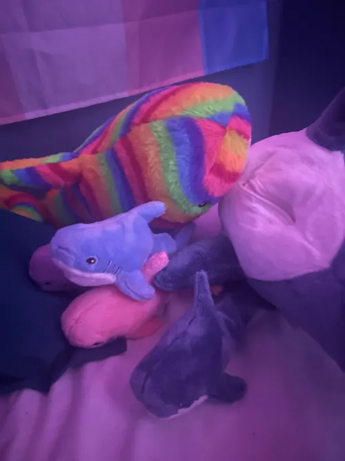 My blahaj came with a zipper and his friend couldn’t help himself and now they have a bunch of kiddos