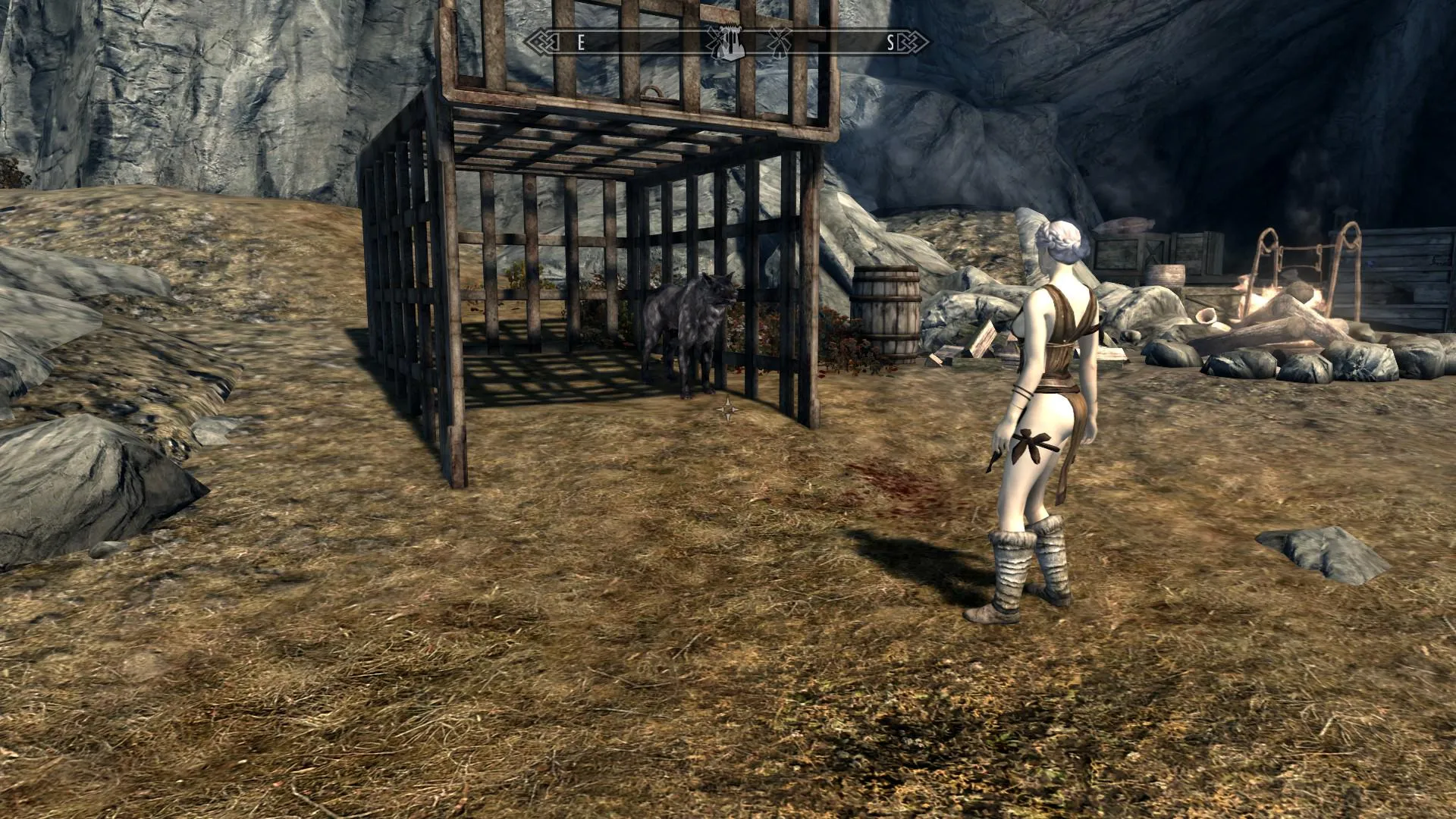 animations not starting