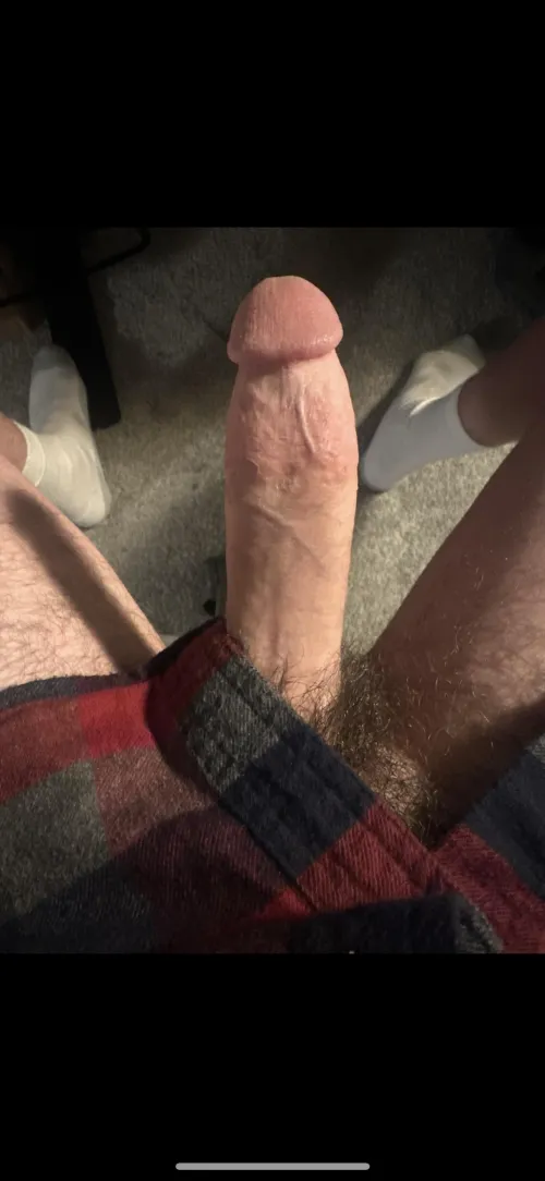 M4FM Cincy Bull looking for hotwives