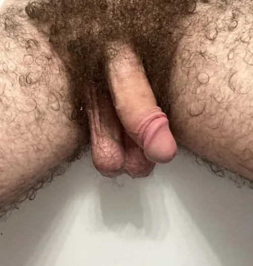 nuts hanging down nice n low [19]