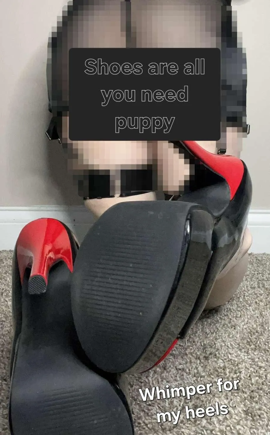 you’re lucky i’m even giving you shoes.