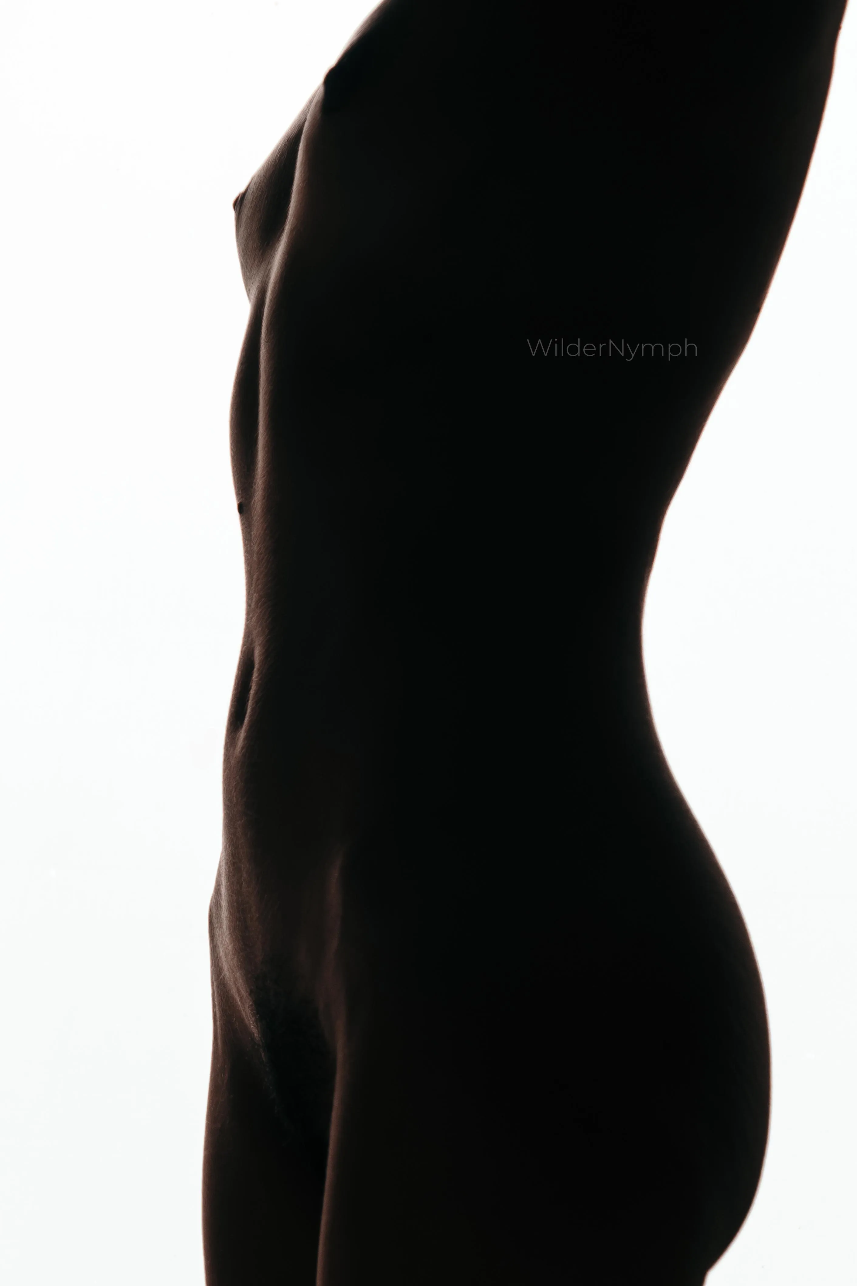 A silhouette against the sky