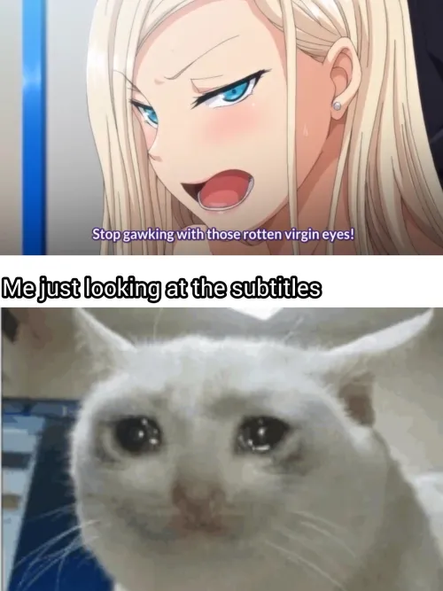 Be nice to virgins, please🥺