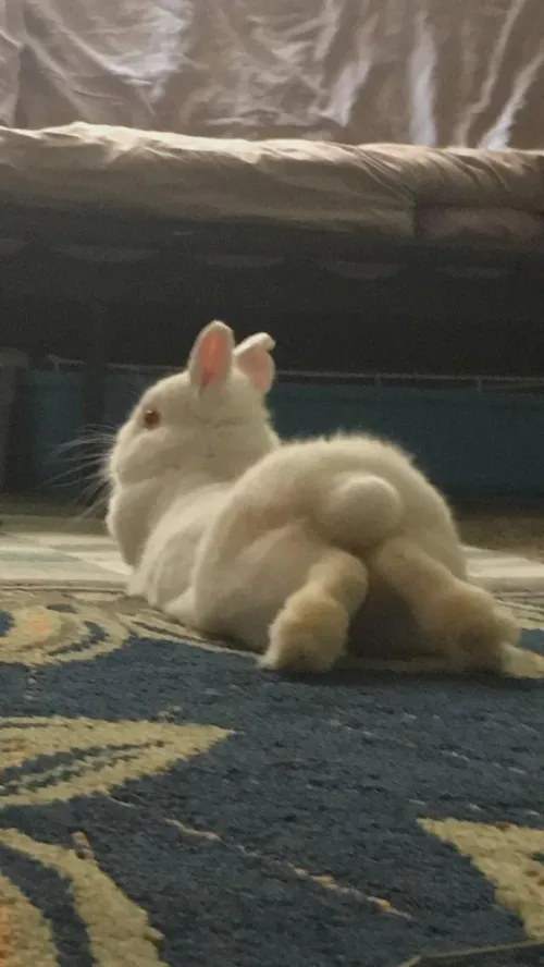 (META) flairs should be mandatory here