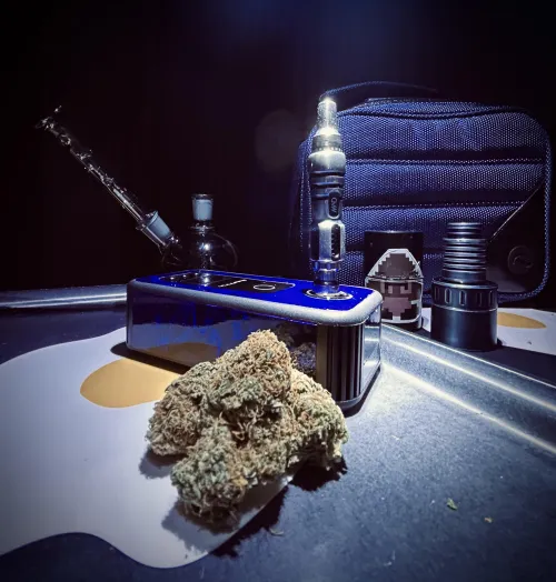 “Welcome to the Dank-side!”