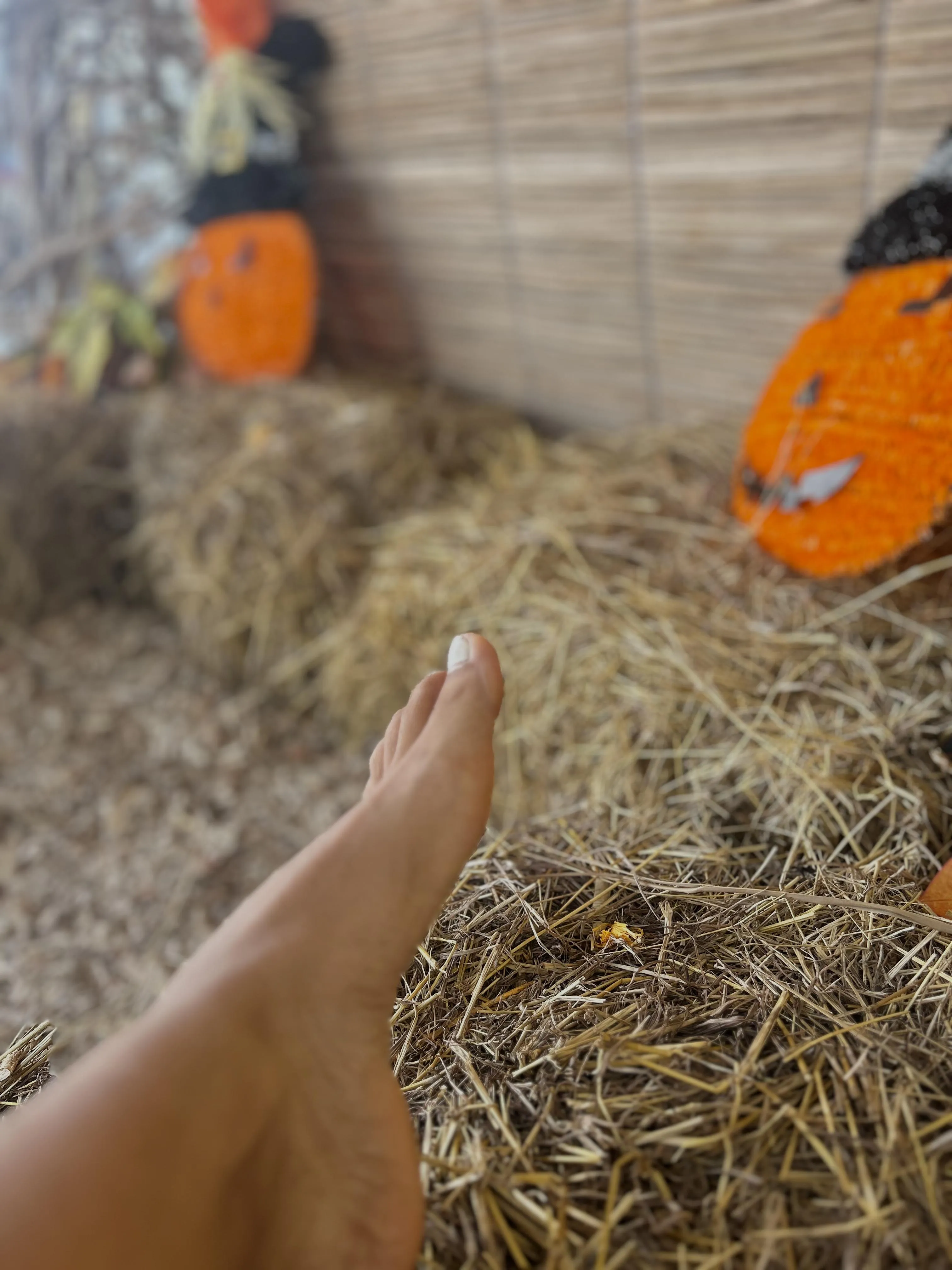 Wanna touch them and run your fingers through them