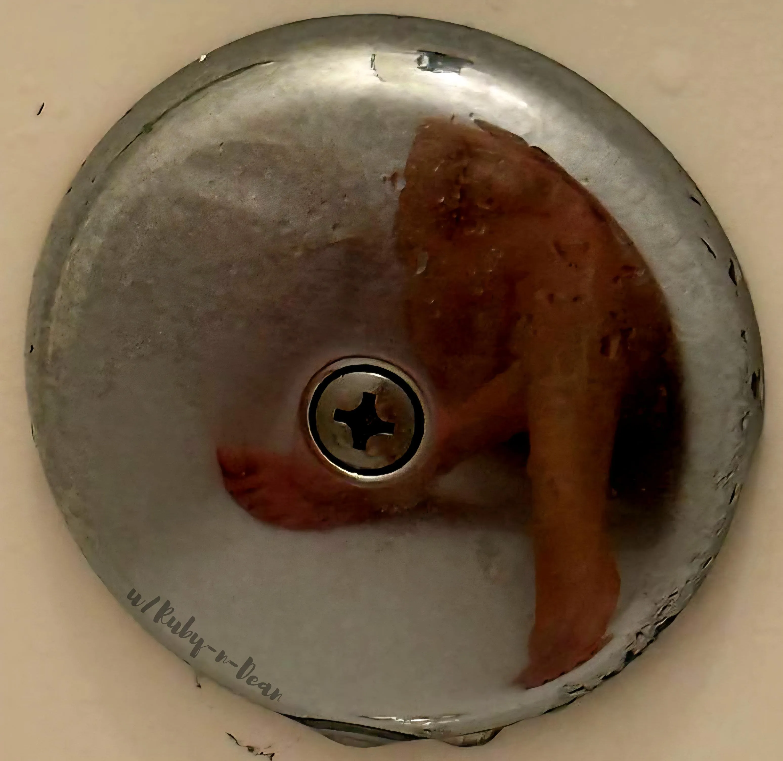 Reflecting on mysel[F]