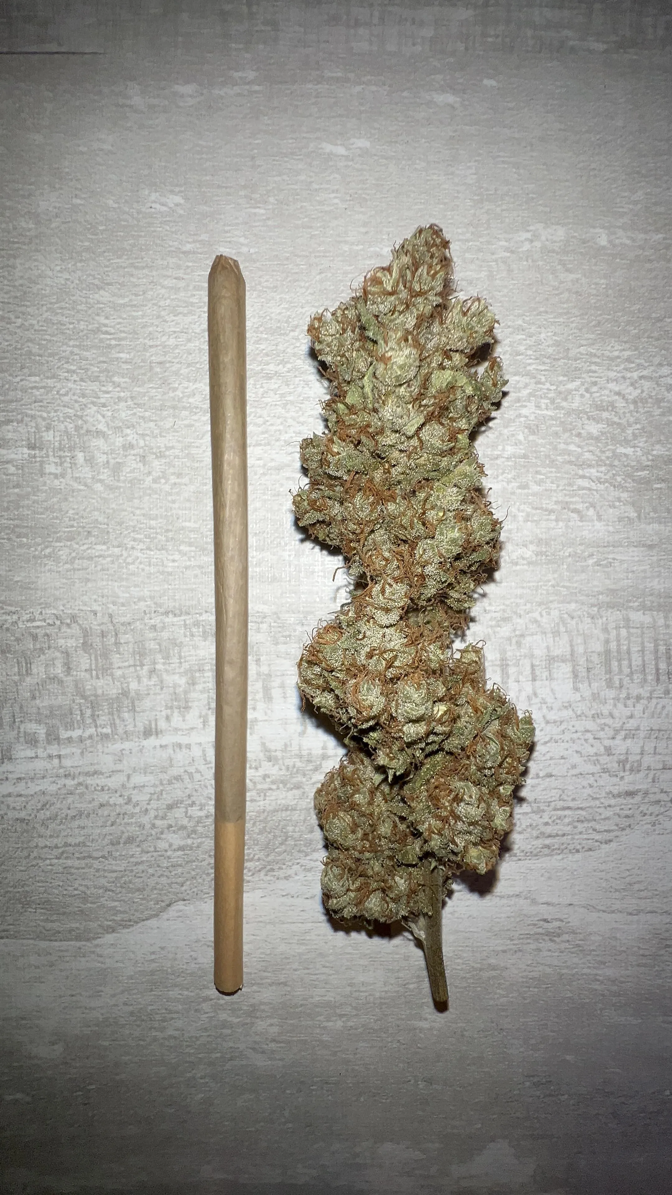 bora fazer a cachola