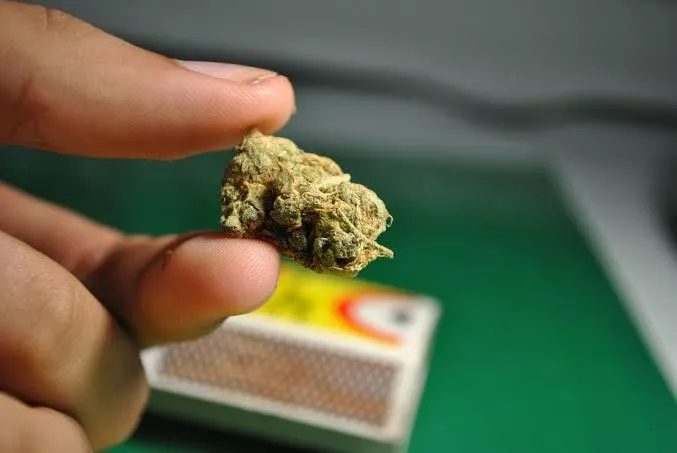 Quantos dias dura 1g de maconha?