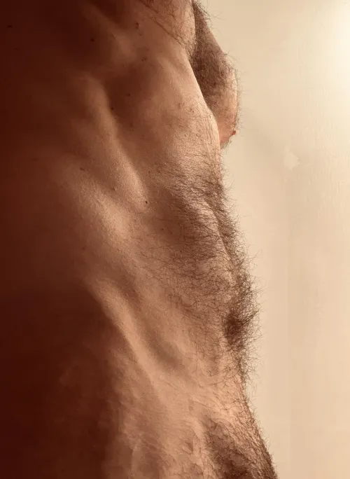 The Abdominal Plains..