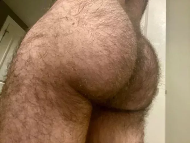 24 in shape bottom bro with a big furry bubble butt. 🤪 DMs are open