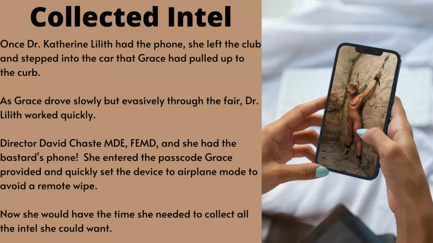 Looting FEMD Data in the Maledom Empire! (closed)