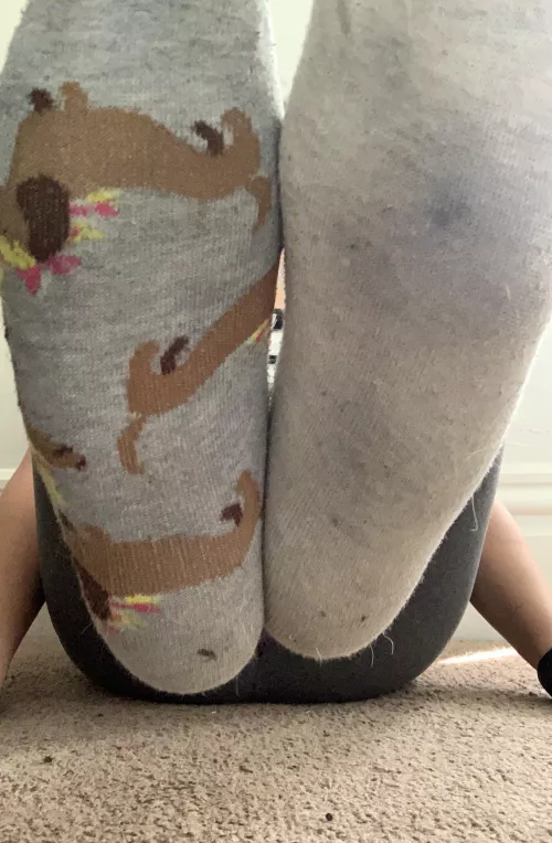 Yummy socks worn for a week only $25 for a lucky fella ☺️[Selling]