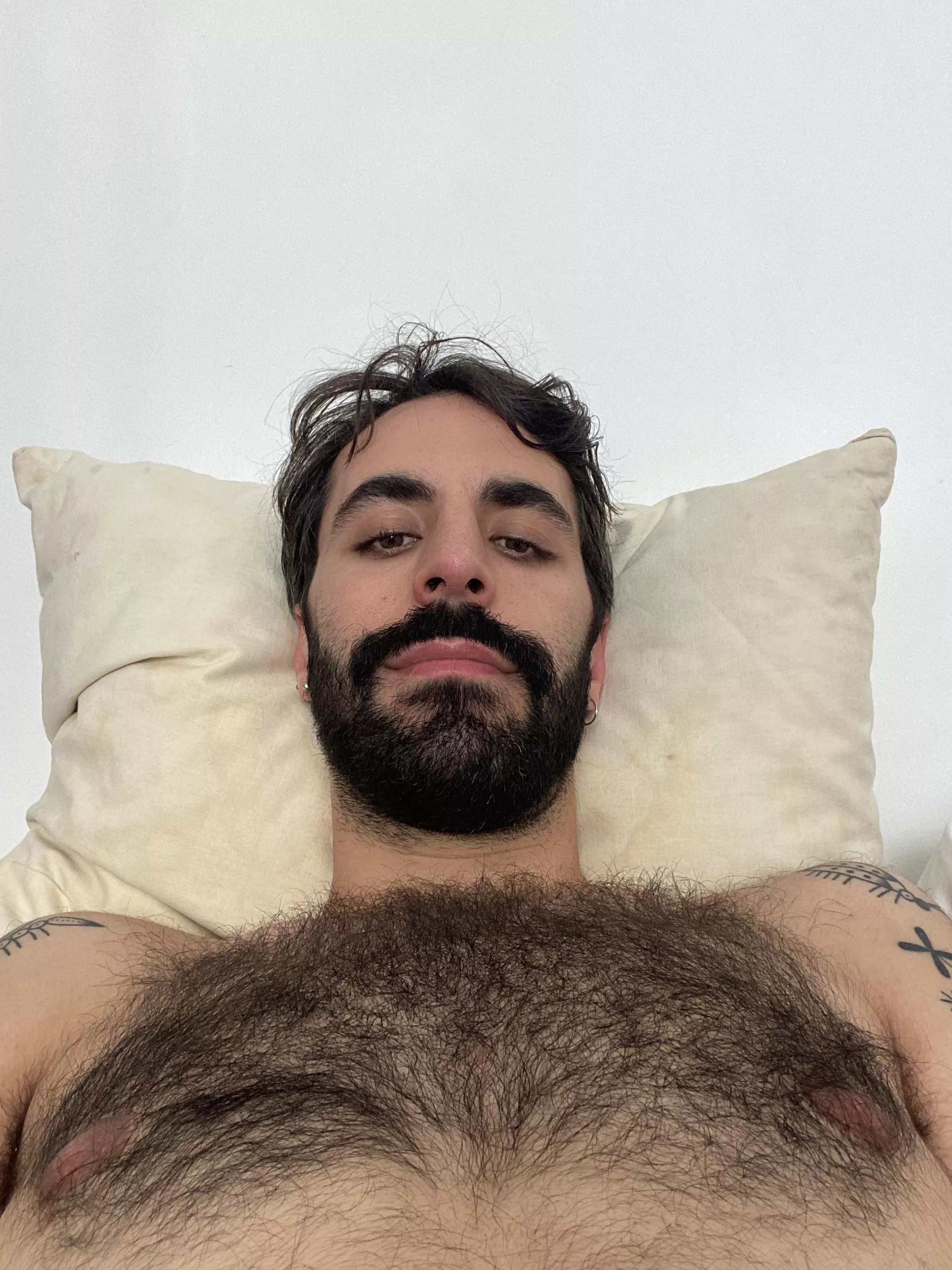 No dick, just a close up of my hairy chest ☺️ No dick, just a close up of my hairy chest ☺️