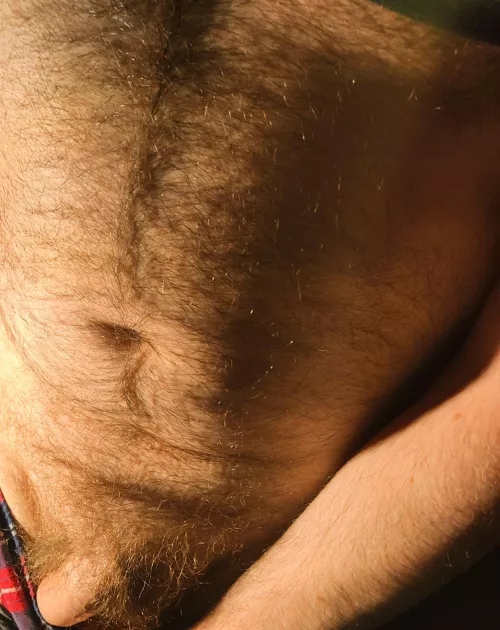 Another brutally hot day. I need a beer and a.....